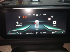 Forthing Yacht 1.5T Edition - ფოტო 20