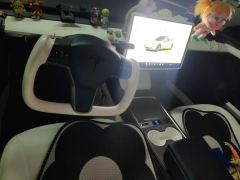 Tesla Model 3 556km Rear-Wheel Drive Edition - photo 16