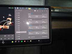 Tesla Model 3 Standard Rangefinder Upgrade 3D6 - photo 20
