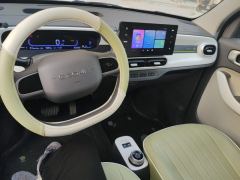 Geely Galaxy Panda mini 210km Yuanqi Bear - photo 16
