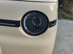 Geely Galaxy Panda mini 210km Yuanqi Bear - photo 4