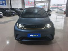 BYD Dolphin Honor Edition 420km Stylish Edition - фото 3