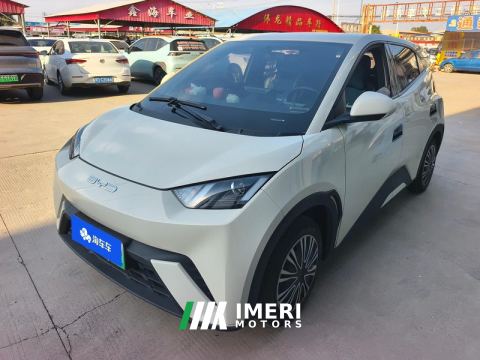2023 BYD Seagull 305km Vitality Edition