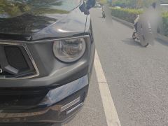 Haval Dargo PLUS 2.0T Four-wheel drive off-road version Plus - photo 4