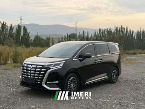 2022 Denza D9 DM-i 1.5T 180km 4WD Honorable Type 7-seater - car from China