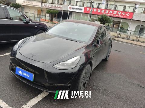 2021 Tesla Model Y Standard endurance rear-wheel drive - ავტომობილი ჩინეთიდან