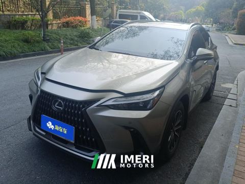 2023 Lexus NX 260 Two-wheel drive Chuangyue version - car from China