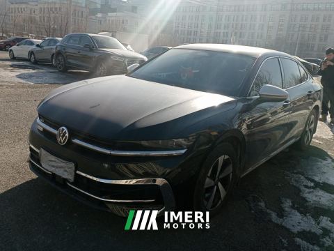 2024 Volkswagen Magotan 300TSI Luxury Edition Show-off