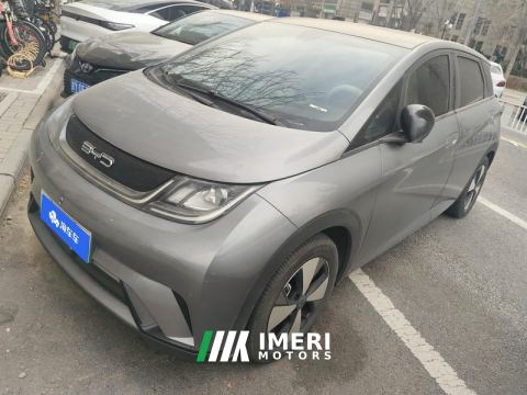 2023 BYD Dolphin 420km Stylish Edition - автомобиль из Китая