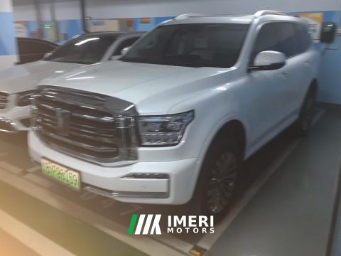 2024 Tank 500 New Energy 2.0T Hi4-T 36.7kWh