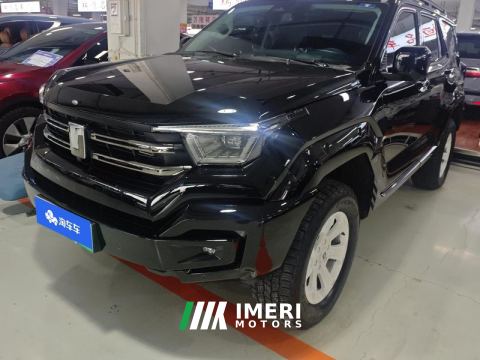 2023 Tank 400 New Energy 2.0T 105km Super Edition - car from China