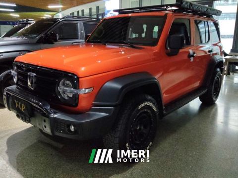 2021 Tank 300 Off-Road Edition 2.0T Conqueror - car from China