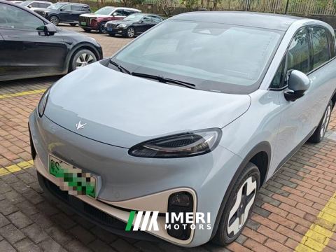 2024 Arcfox Polar Fox Koala S 500km PRO - автомобиль из Китая