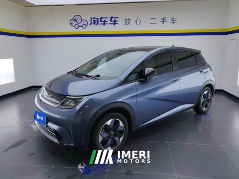 2024 BYD Dolphin Honor Edition 420km Stylish Edition - ავტომობილი ჩინეთიდან