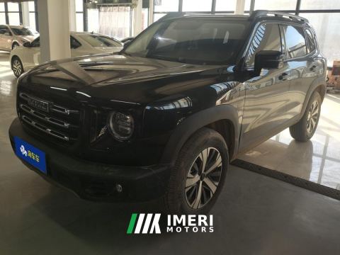 2022 Haval Great Wall Big Dog Great Wall Dog 1.5T Two-wheel drive Labrador version - автомобиль из Китая