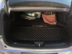 Ora Lightning Cat 555km Front wheel drive premium version - photo 7