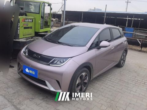 2024 BYD Dolphin Honor Edition 420km Free Version