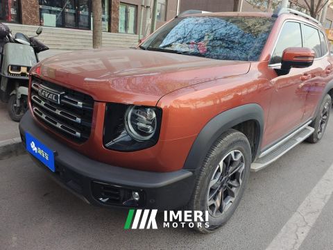 2021 Haval Great Wall Dargo Great Wall Dog 2.0T 4WD Chinese Garden Dog Edition
