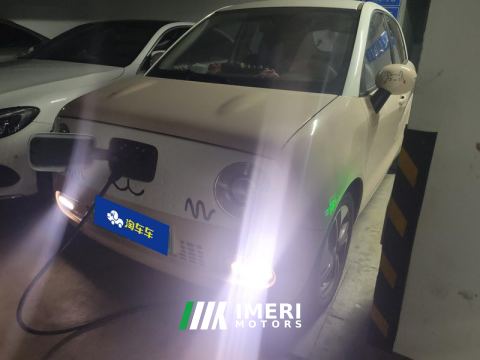 2022 Ora Black Cat 351km Standard Edition Ternary Lithium - автомобиль из Китая