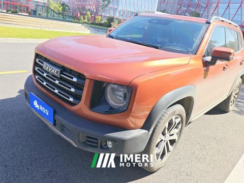 2022 Haval Great Wall Big Dog Great Wall Dog 2.0T Two-wheel drive Chinese hunting dog version - автомобиль из Китая