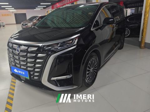 2022 Denza D9 DM-i 1040 Premium - car from China