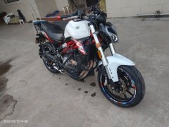 Benelli BJ300GS - ფოტო 3