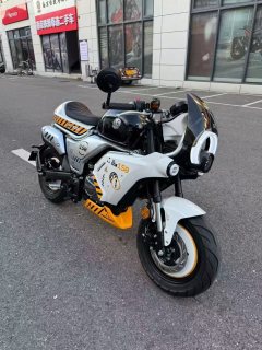 Zongshen Little Bear 150 cc - ფოტო 3