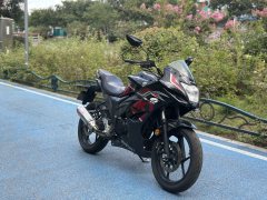 Jinan Suzuki Geek Gixxer 155 - ფოტო 2