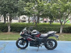 Jinan Suzuki Geek Gixxer 155 - ფოტო 8