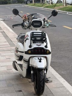 Weiduoliya Sixties 150i - ფოტო 2
