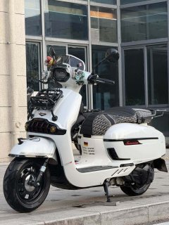 Weiduoliya Sixties 150i - ფოტო 3