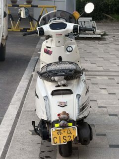 Weiduoliya Sixties 150i - ფოტო 6