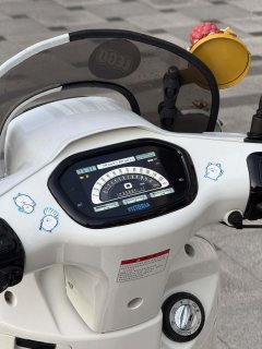 Weiduoliya Sixties 150i - ფოტო 9
