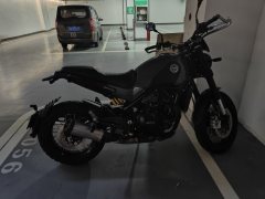 Benelli Lion Cub Leoncino 500 - ფოტო 5