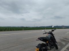 Benelli Lion Cub Leoncino 500 - ფოტო 6