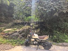 Zongshen Little Bear 150 cc - photo 2