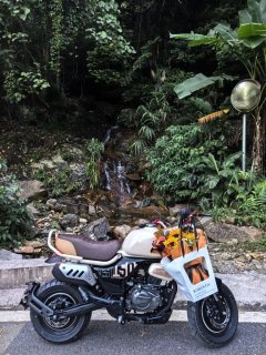 Zongshen Little Bear 150 cc - photo 3