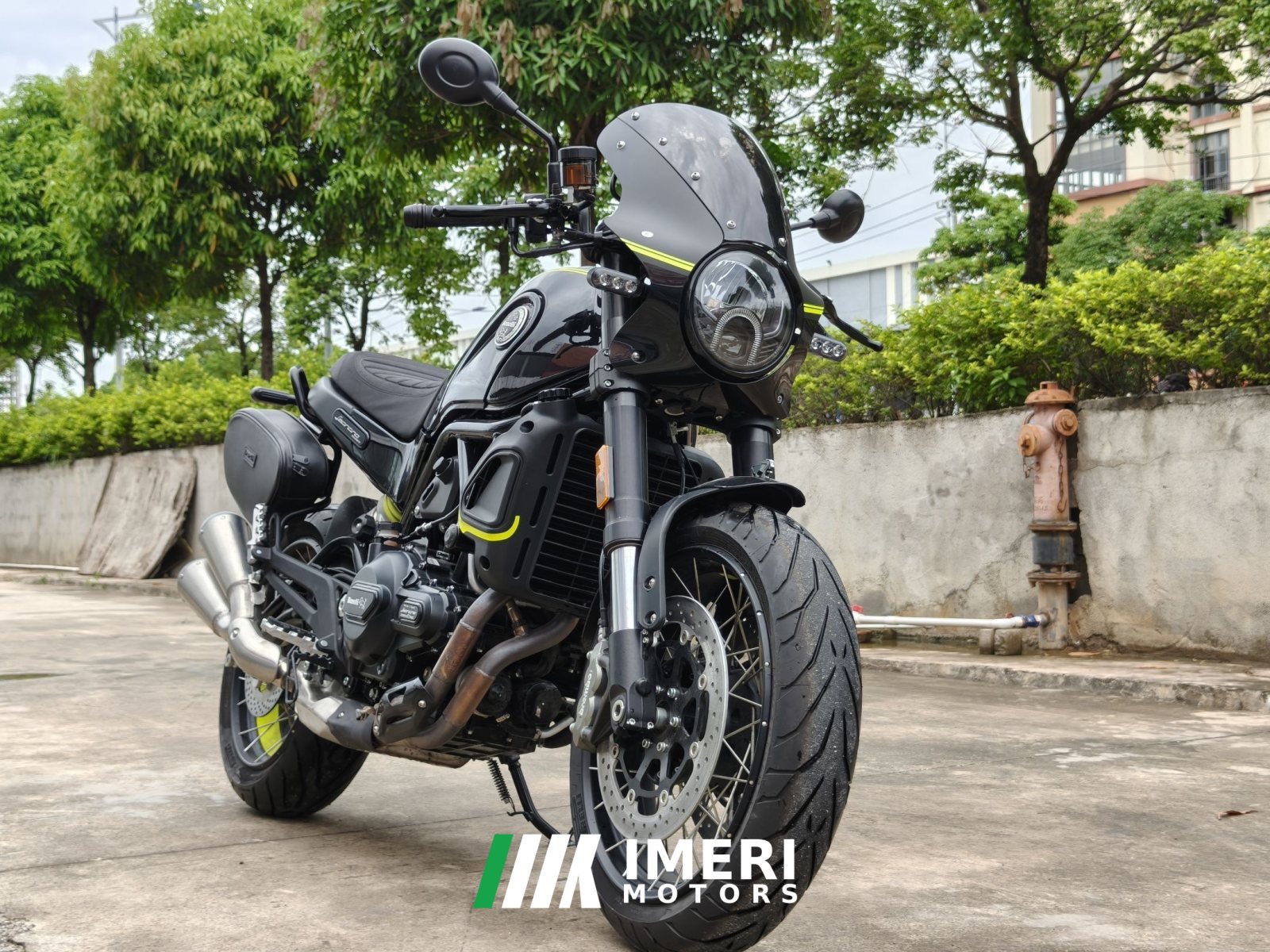 2026 Benelli Lion Cub Leoncino 500