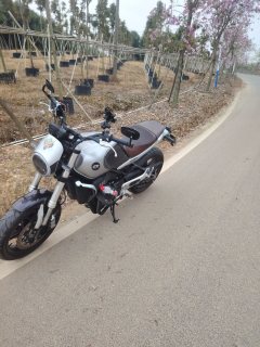 QJMOTOR Escape 550 - ფოტო 1