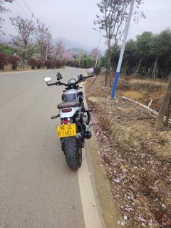 QJMOTOR Escape 550 - ფოტო 5
