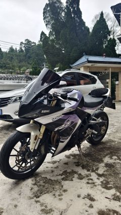 Kayo 321RR 320 cc - ფოტო 6