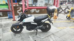CFMOTO ST Baboon 125 cc - фото 1