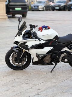 QJMOTOR Sai 450 - ფოტო 9