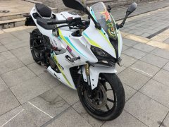 QJMOTOR SRK 250 - ფოტო 2