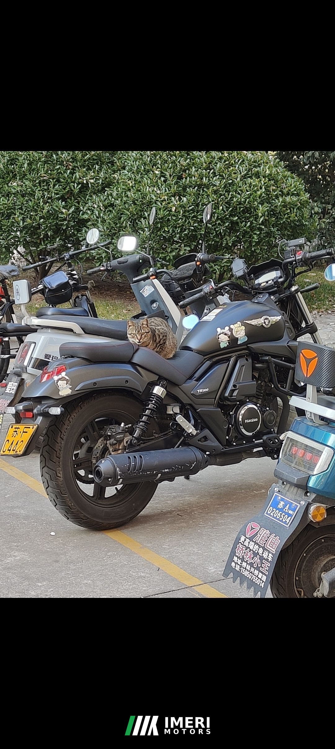2022 Haojue TR300