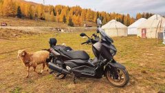 Yamaha XMAX 300 cc - ფოტო 9