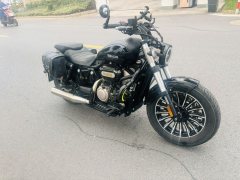 Benda Polestones 03 Gray 300 cc - ფოტო 6
