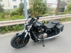 Benda Polestones 03 Gray 300 cc - ფოტო 8