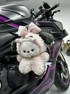 CFMOTO 450SR - ფოტო 2