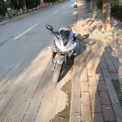 Dayun Tianxun 200R - ფოტო 2